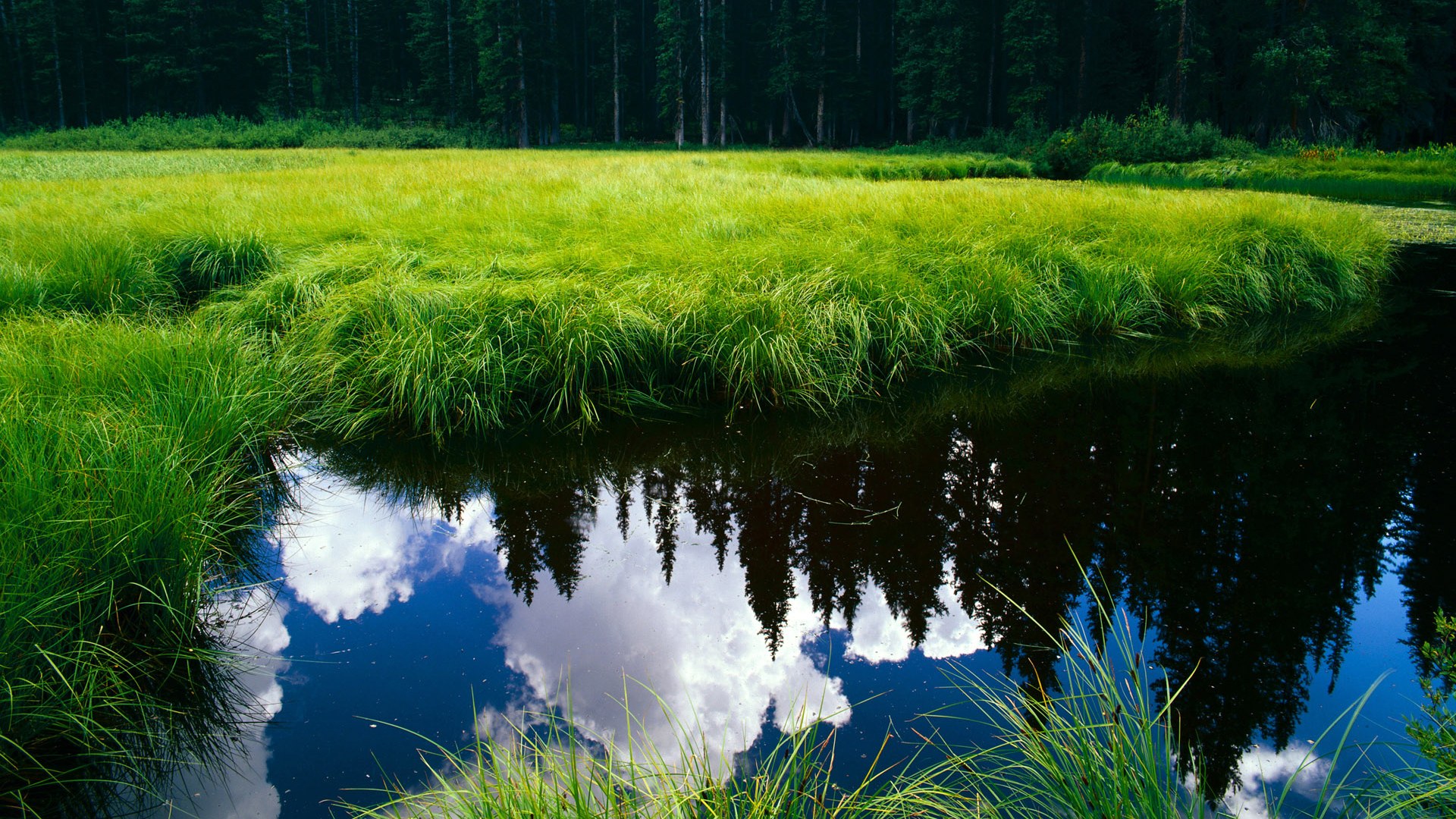 _趣味龙舟比赛：激荡江面团结协作_，龙舟表演赛