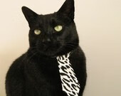 “青训+产业”融合创新，行业发展突破瓶颈迈上新台阶