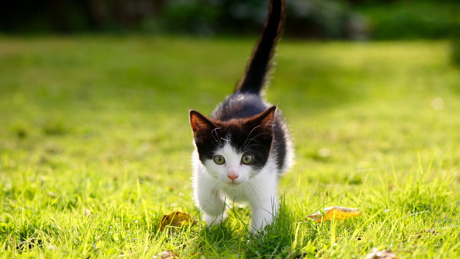 “青训+产业”融合创新，行业发展突破瓶颈迈上新台阶