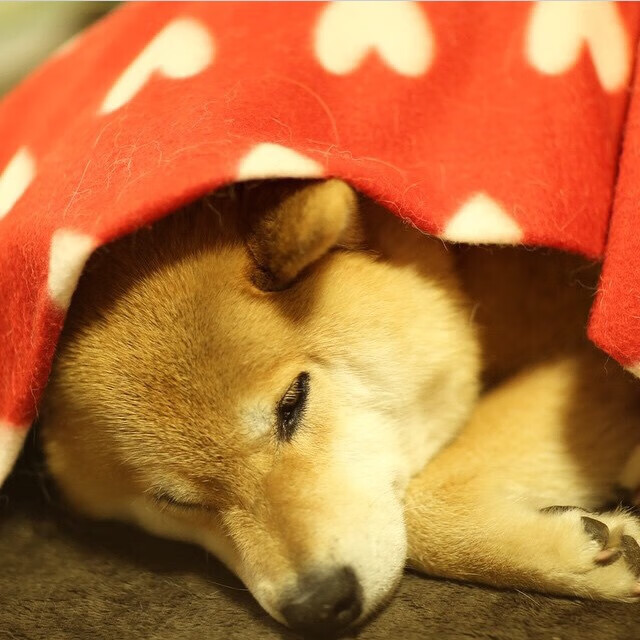 【逆转之战】球队X悬崖边反败为胜，逆转获胜