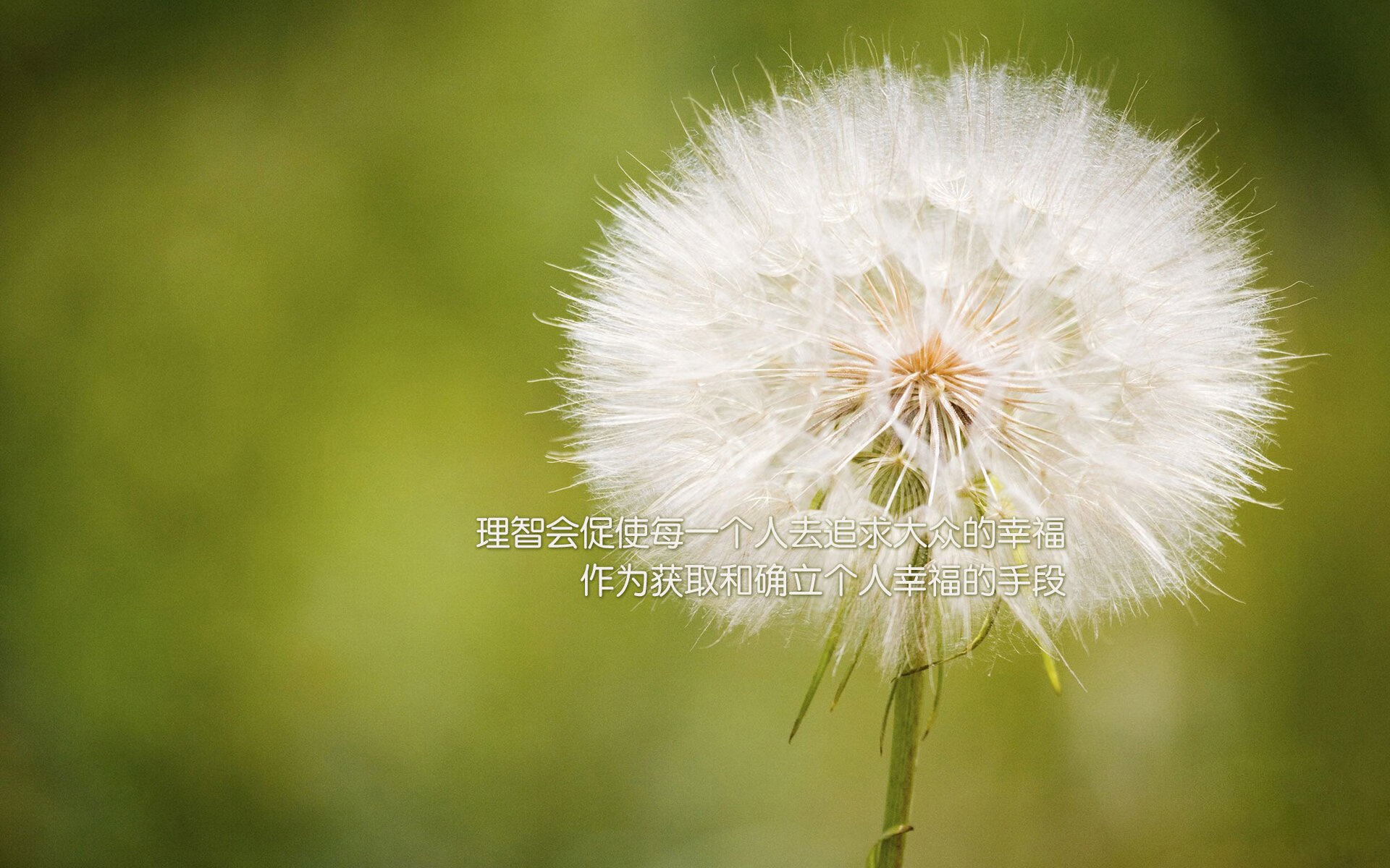 全国大学生田径锦标赛精彩落幕，新星辈出，2021年全国大学生田径锦标赛规程