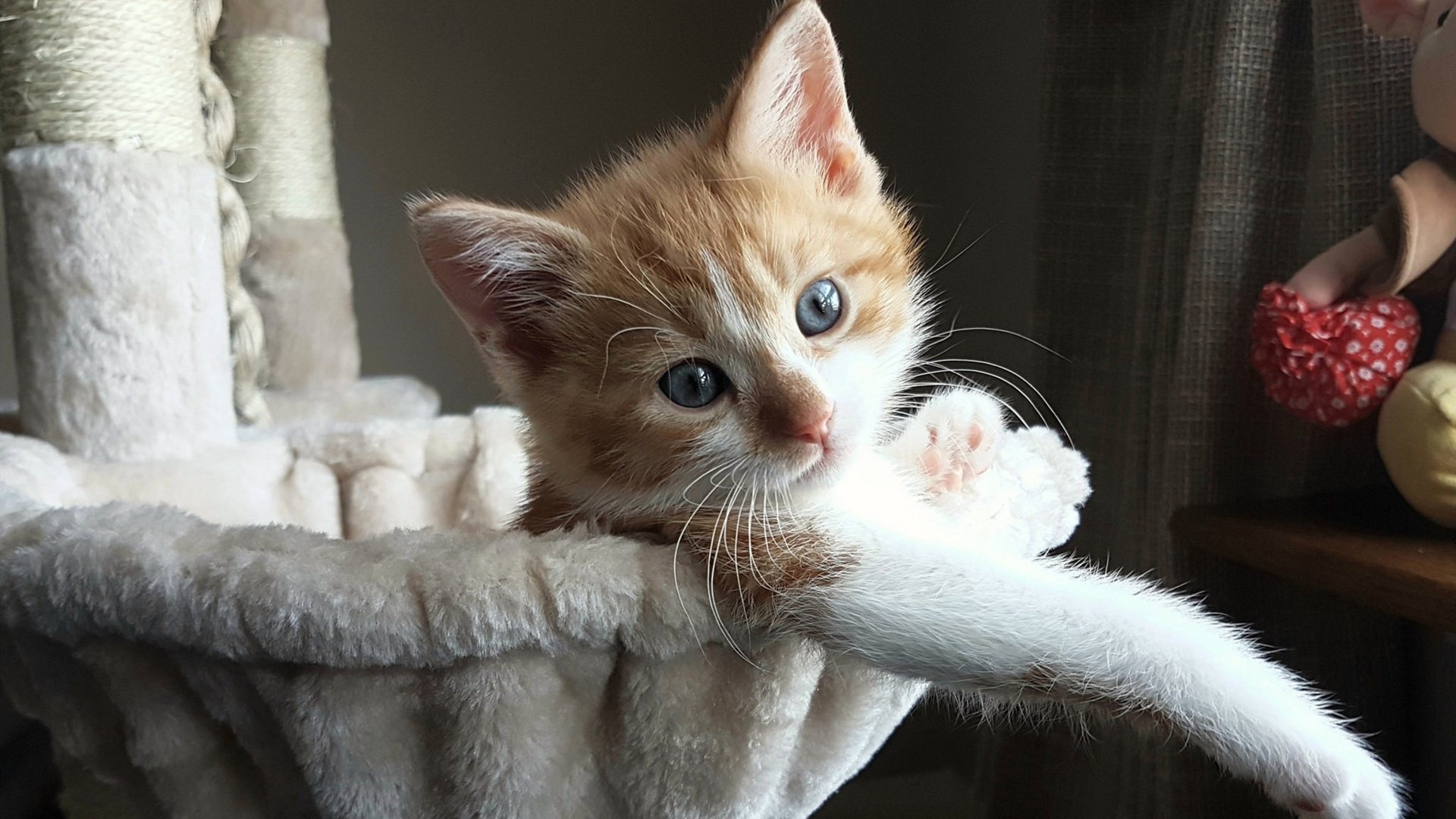 全国青少年“挑战极限”户外篮球趣味赛在西藏拉开序幕，激发青少年勇气