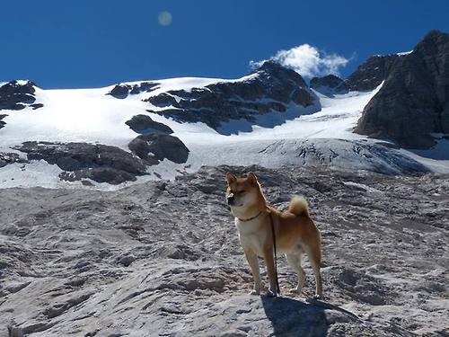 全国青少年“挑战极限”户外篮球趣味赛在西藏拉开序幕，激发青少年勇气