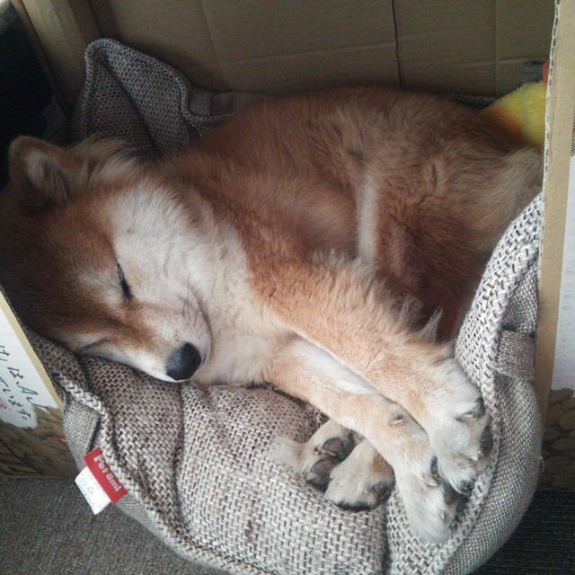 战术“秘密武器”：最令人惊叹的制胜奇招，战术武器有哪些