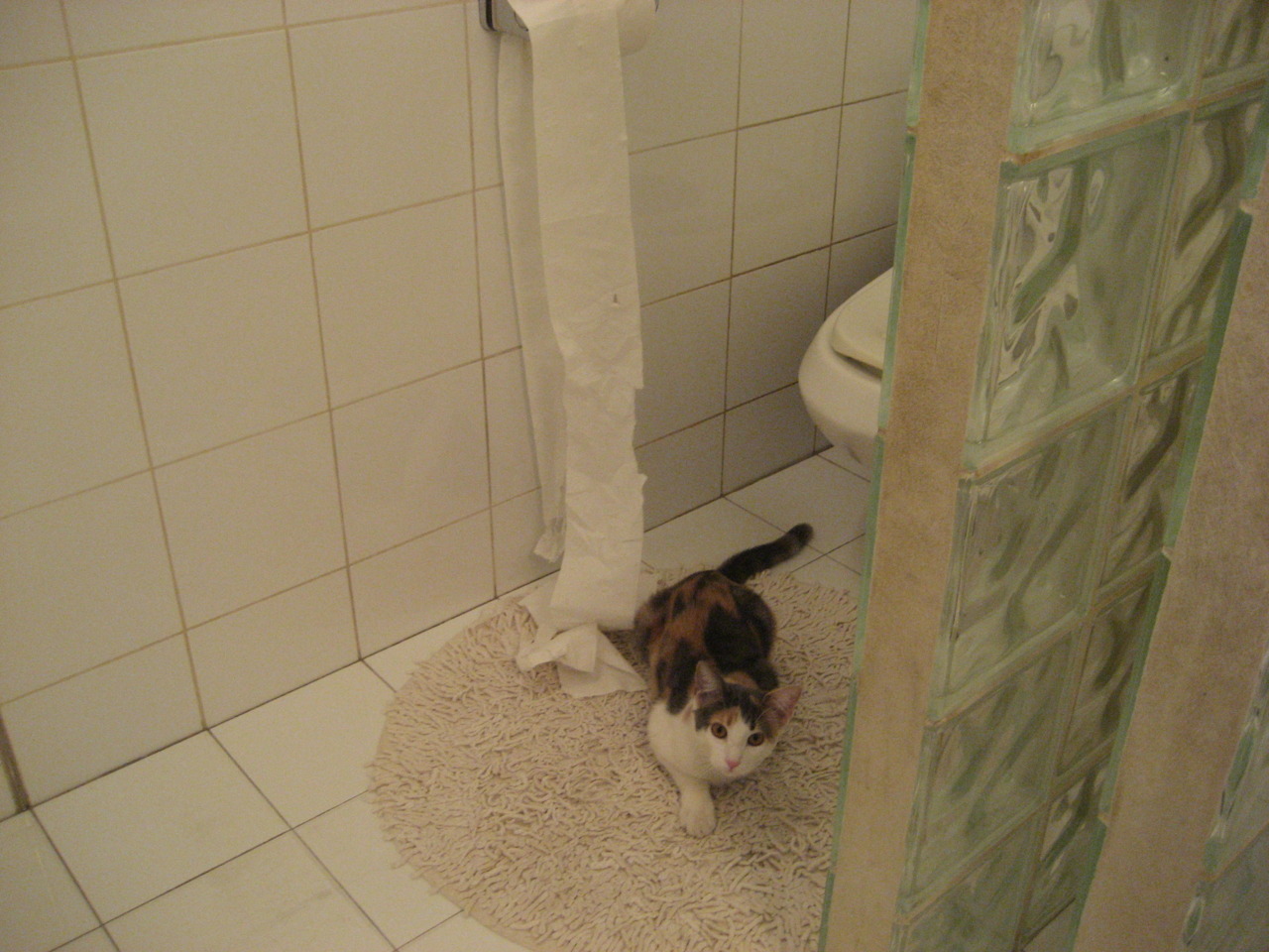 未来篮球：虚拟实境带来沉浸式观赛体验，虚拟篮球是什么意思