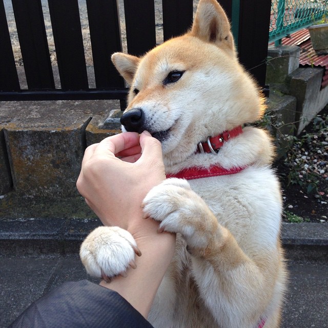 FB体育app下载-特色水上卡丁车，水域极速运动的代表，北京水上卡丁车