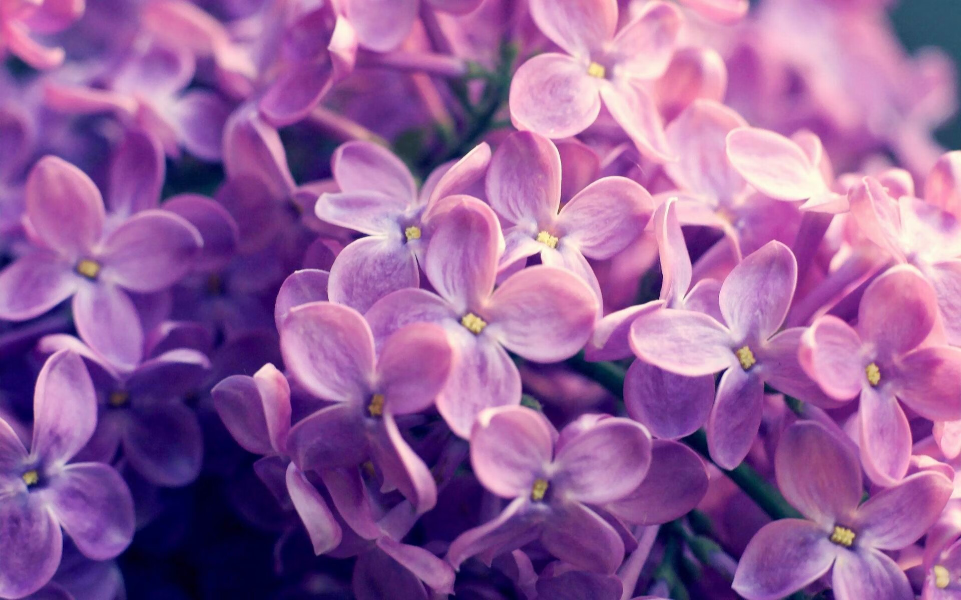 FB体育娱乐-特色篮球文化节在各大高校持续火热，弘扬运动精神，全国篮球特色学校报道稿