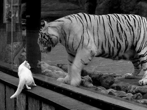 西汉姆联新援首秀，收获满堂彩，西汉姆联视频