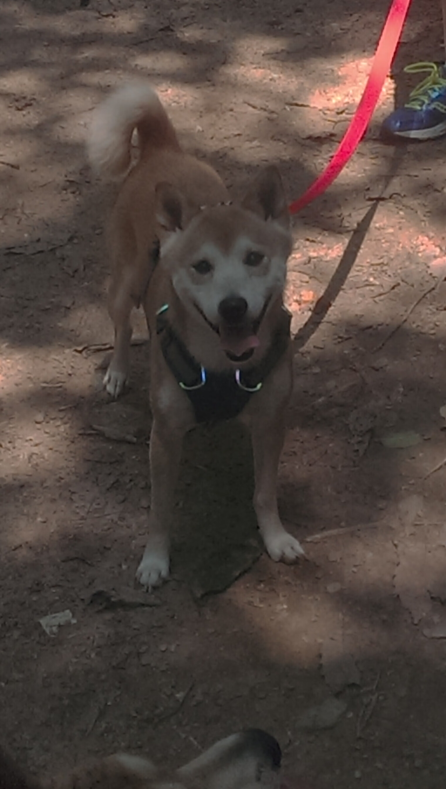 fb体育中国-赛事主题活动来袭，精彩福利不容错过！，赛事主题怎么写