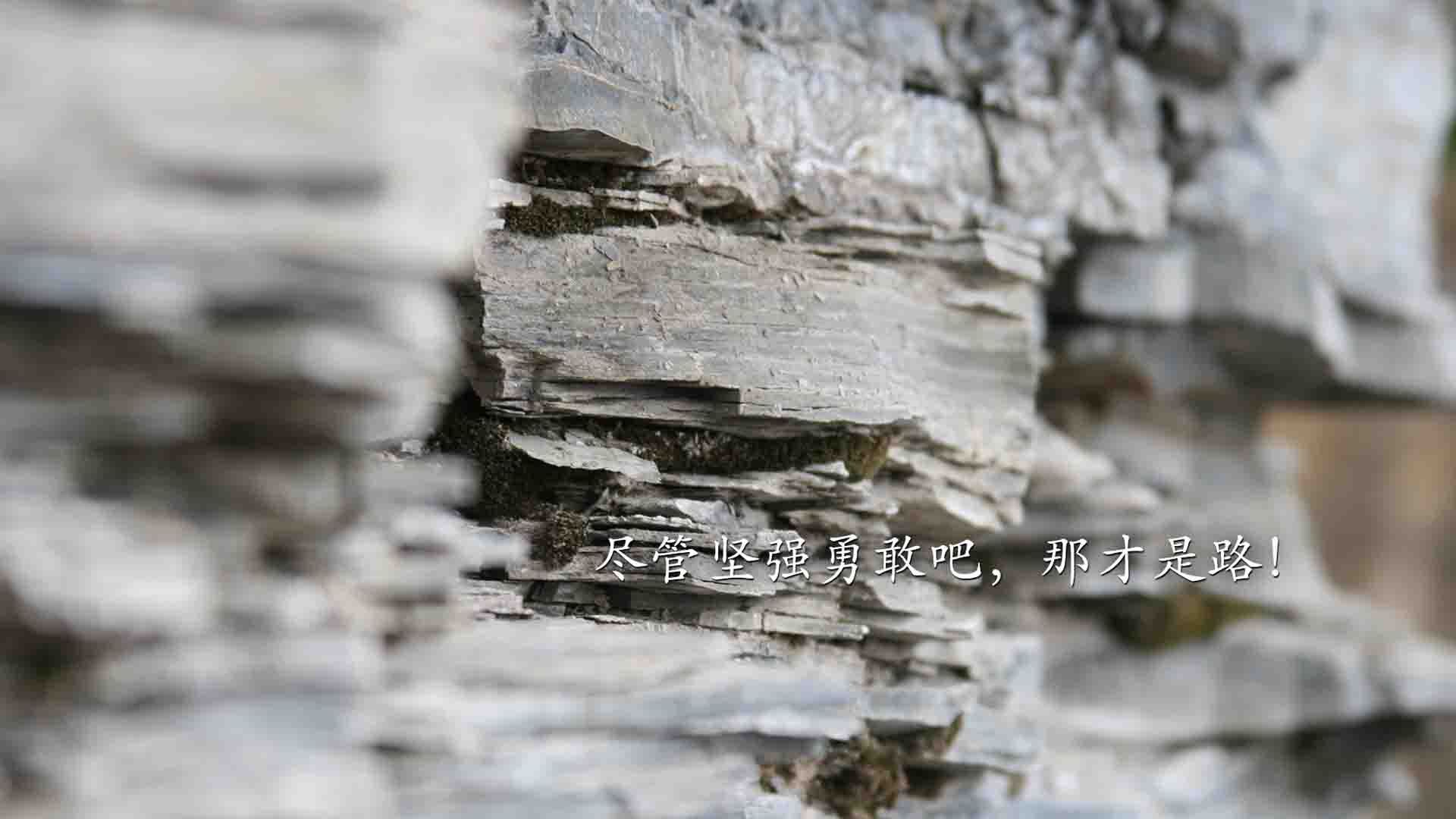 足球场馆智能化管理逐步普及，节能环保效果显著，足球场馆运营方案