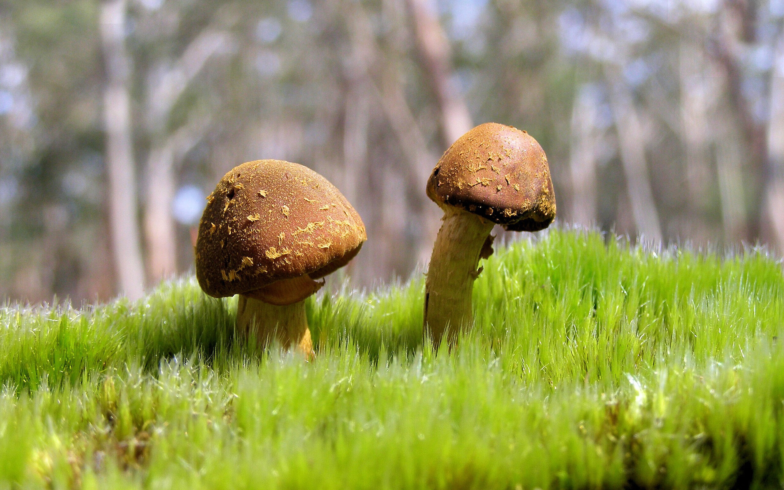 青少年自行车赛，童年运动新风尚，青少年自行车赛报名