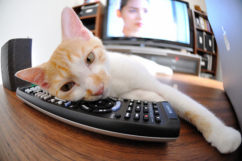 EDG选手转会市场动态，edg选手转会市场动态图