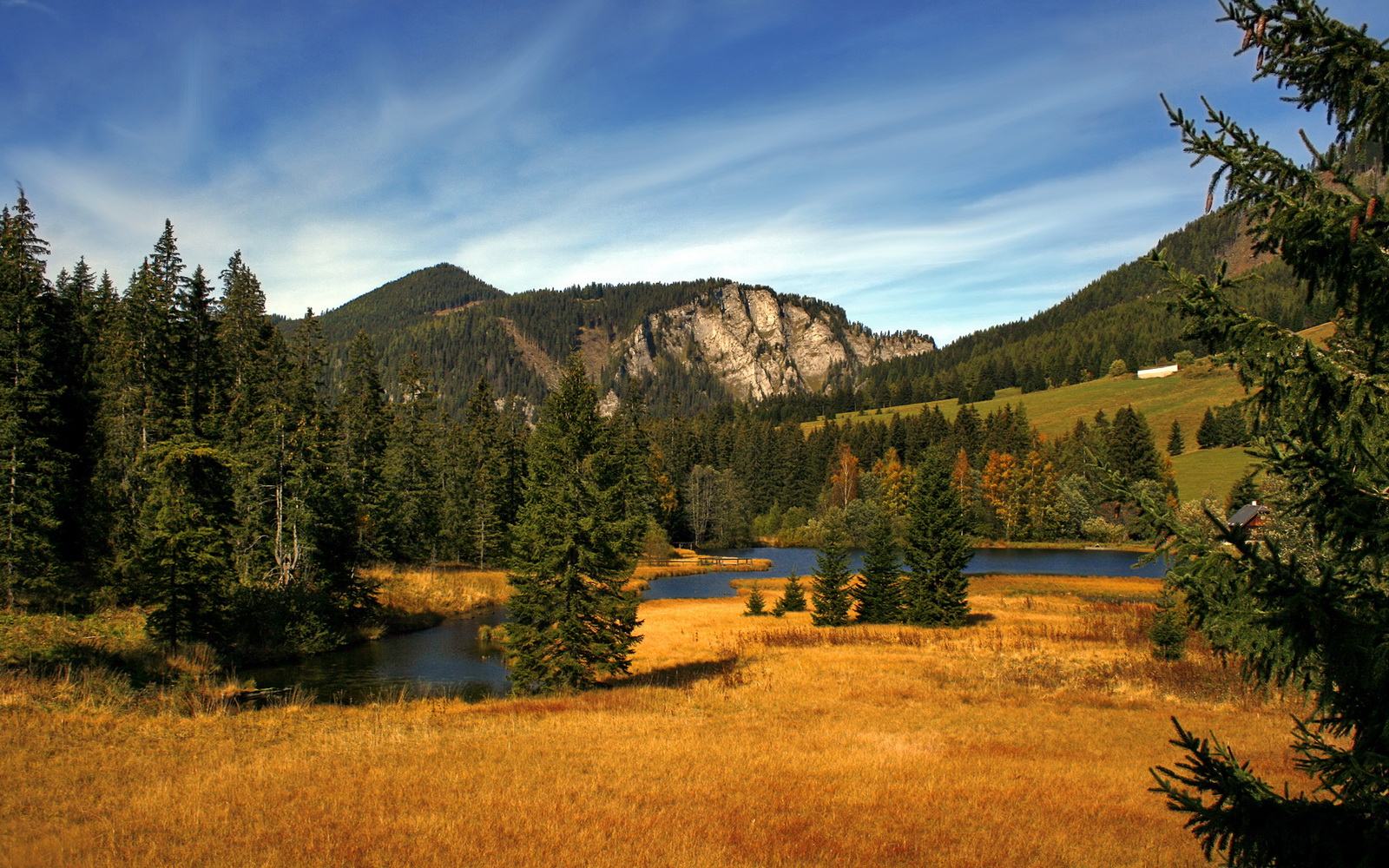 JDG赛季胜率创俱乐部历史新高，jdg战队2021