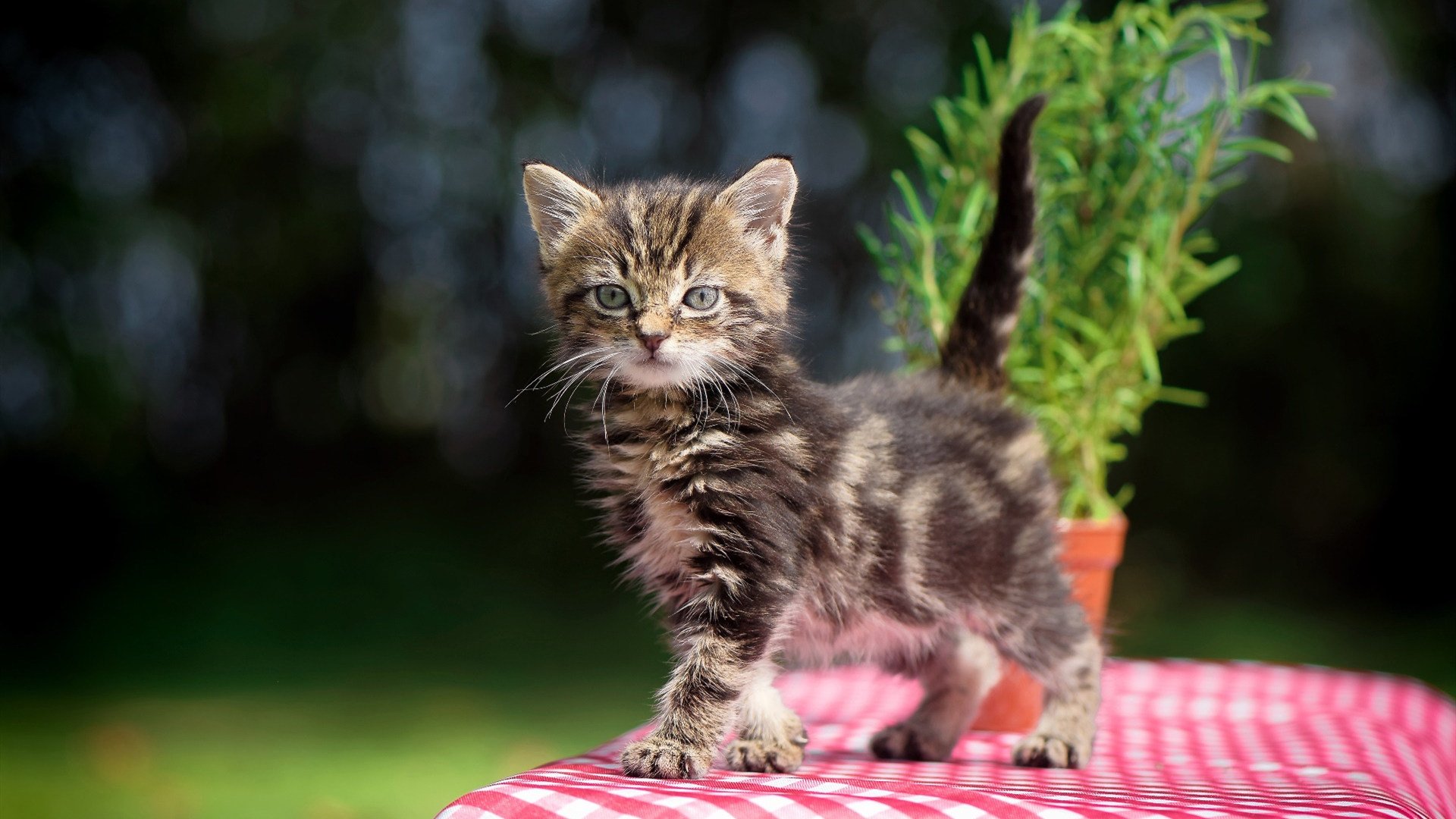 快船击退太阳，乔治与伦纳德联手打出高潮，乔治谈伦纳德