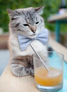 拜仁慕尼黑客场1-1战平弗赖堡，遗憾错失胜利，拜仁慕尼黑对阵弗赖堡