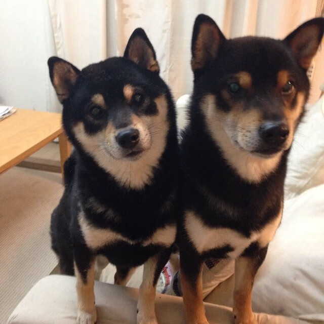 FB体育娱乐-新秀表现是否能维持整个赛季，新秀赛季是几个赛季