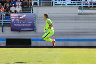 FB体育网站-中国足球门将扑救风格分类，中国足球门将扑救风格分类是什么