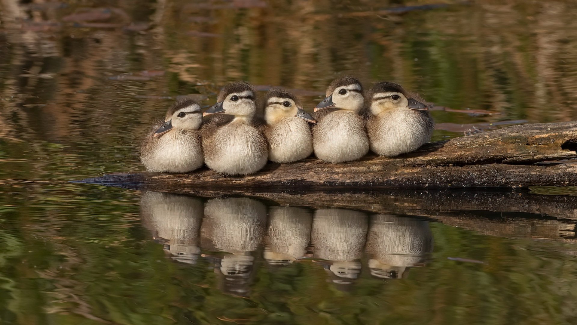 “高新体育中心：全球顶级选手齐聚，竞技与激情并存”